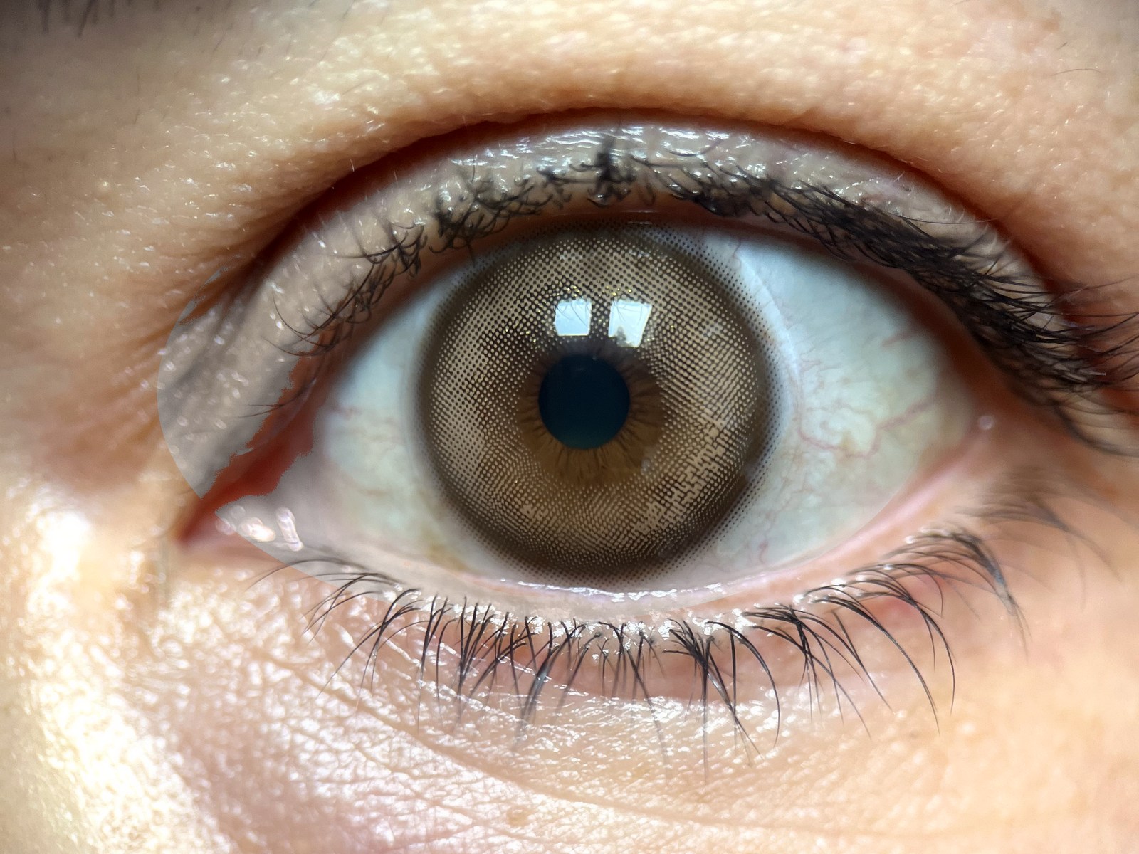 Lente con anillo fino sobre ojo café